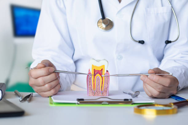 Best Emergency Treatment for Toothache in East Basin, UT